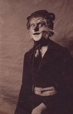 El hombre gato